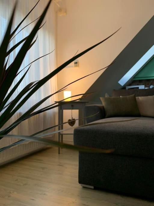 Hangulatos Tarsashazi Apartman Pecs Belvarosaban Exterior foto